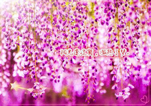 (番外)+(全文)（唯有潜离与暗别：结局+番外）简颂希秦维贤宁安安结局+番外（唯有潜离与暗别：结局+番外）（简颂希秦维贤宁安安）全文免费阅读无弹窗大结局_（简颂希秦维贤宁安安免费阅读）免费阅读无弹窗最新章节列表_笔趣阁（简颂希秦维贤宁安安）