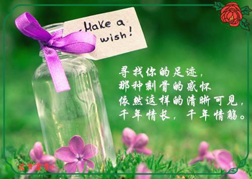 重生不舔校草后,反被他求婚啦完整版全集小说（重生不舔校草后,反被他求婚啦完整版）热门全文免费阅读已完结_迟域苏迦妮最新章节列表_笔趣阁（重生不舔校草后,反被他求婚啦完整版）