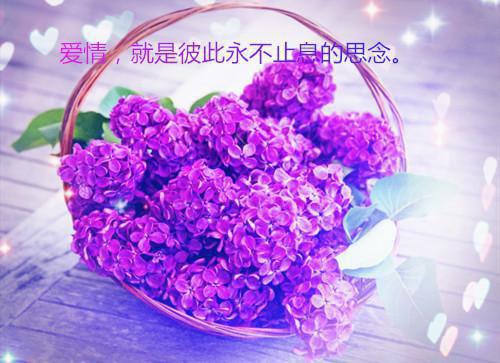 重生后，拒绝资助普信男(重生后，拒绝资助普信男)全文免费阅读无弹窗大结局_(重生后，拒绝资助普信男全文大结局)最新章节列表_笔趣阁（重生后，拒绝资助普信男）
