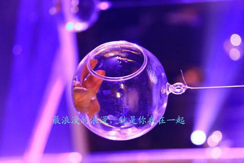 （免费）+（结局）一首海阔天空，疯狂席卷全网！美文欣赏完整版，林夜精彩章节在线阅读