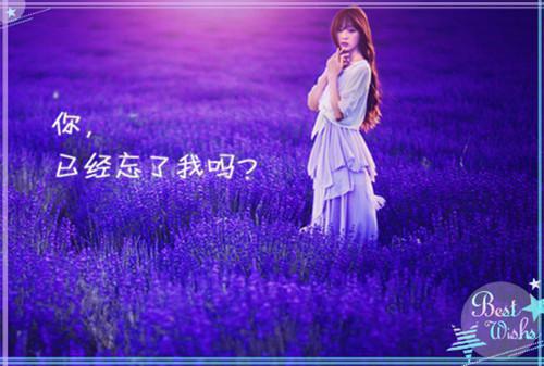 骆知卿陆宁砚小说（骆知卿陆宁砚小说）全文免费阅读无弹窗大结局_（骆知卿陆宁砚阅读无弹窗）骆知卿陆宁砚列表_笔趣阁（骆知卿陆宁砚小说）
