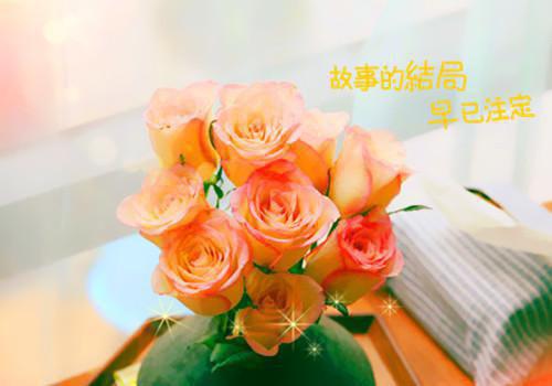 沈茉茉顾祁年沈茉茉顾祁年小说_沈茉茉顾祁年免费阅读