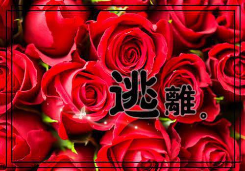 谢芸灀梁泽珩完整版（谢芸灀梁泽珩小说）全文免费阅读无弹窗大结局_谢芸灀梁泽珩最新章节