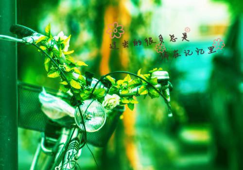 你是我的星辰大海（你是我的星辰大海）全文免费阅读_(沈时初程念卿 )你是我的星辰大海最新章节列表_笔趣阁（你是我的星辰大海）