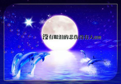 末日校园求生(陈夕周琪琪)小说全文末日校园求生免费阅读_末日校园求生小说末日校园求生最新章节阅读笔趣阁