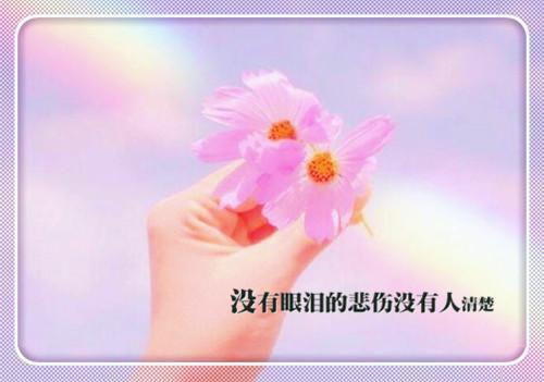 重生后我打脸耿直人设女星后续小说热门（陈白芝林晚意齐楚）完结版全文小说在线阅读_重生后我打脸耿直人设女星后续最新章节列表（重生后我打脸耿直人设女星后续）