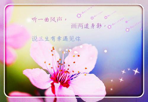 琼羽千宸(琼羽千宸小说）全文免费阅读无弹窗大结局_琼羽千宸最新章节列表_笔趣阁（琼羽千宸）