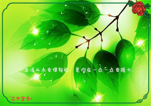 宋知慧沈君桦全文免费阅读（重生七零团长追妻路迢迢小说）全文免费阅读无弹窗大结局_（宋知慧沈君桦全文免费阅读无弹窗）重生七零团长追妻路迢迢小说最新章节列表_笔趣阁（宋知慧沈君桦）