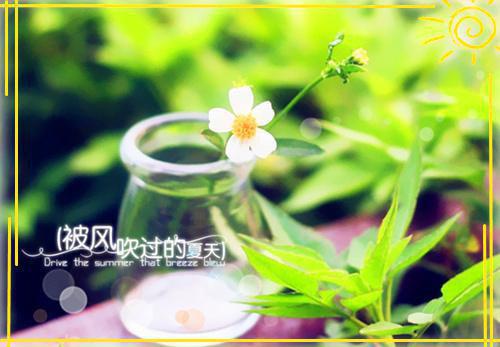 (番外)+(全文)程思月秦序年：结局+番外（秦序年程思月）全文免费阅读无弹窗大结局_秦序年程思月：结局+番外最新章节列表_笔趣阁（程思月秦序年：结局+番外）