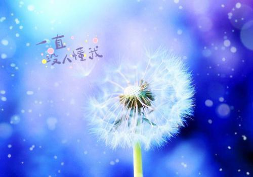 校园小说（我的关青青姐姐）全本完整版免费阅读_ (我的关青青姐姐)我的青青姐全文章节目录_笔趣阁（关青青陈雅静）
