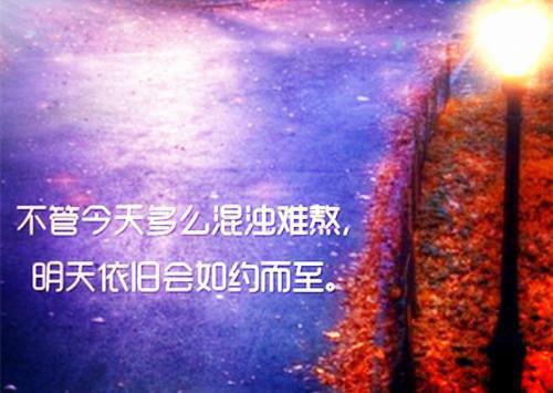 落笔糊花全文免费阅读（顾时桉蒋亦许甜）全文免费阅读无弹窗大结局_落笔糊花全文免费阅读_笔趣阁（顾时桉蒋亦许甜）