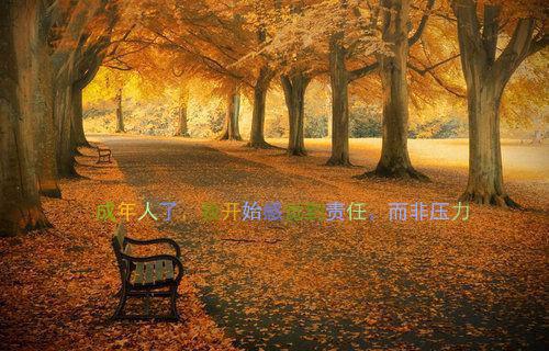 天宝（哼！我姑姑是小神仙）全文免费阅读_（天宝）哼！我姑姑是小神仙最新章节小说免费阅读_笔趣阁