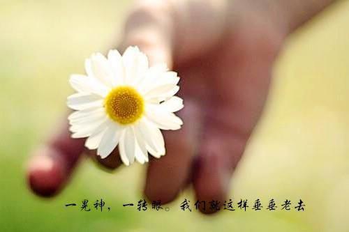 逆天改命！谁把老祖宗招来了！（江眠景川）全文免费阅读无弹窗大结局_逆天改命！谁把老祖宗招来了！最新章节列表_笔趣阁（江眠景川）