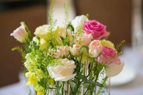 姜芜程昭礼（姜芜程昭礼小说）全文免费阅读无弹窗大结局_(姜芜程昭礼)姜芜程昭礼最新章节列表_笔趣阁（姜芜程昭礼小说）
