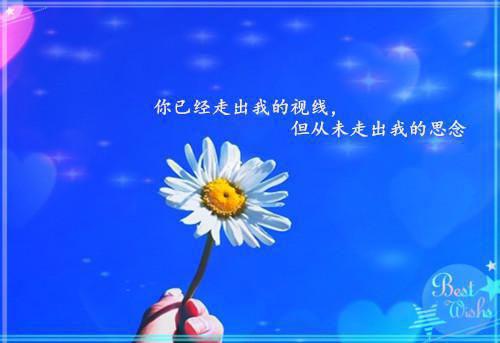 唐向南贺识琛全文免费阅读（十年暗恋五年婚姻，在这一刻都不要了）全文在线唐向南贺识琛无弹窗大结局_（十年暗恋五年婚姻，在这一刻都不要了唐向南贺识琛）十年暗恋五年婚姻，在这一刻都不要了最新章节列表_笔趣阁（唐向南贺识琛）