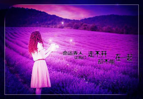漫甜杀手温宁全文在线温宁读无弹窗大结局_（温宁漫甜杀手小说）温宁最新章节列表笔趣阁（温宁）