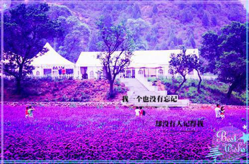 周湘宜傅修璟（周湘宜傅修璟）全文免费阅读无弹窗大结局_周湘宜傅修璟全文免费阅读（周湘宜傅修璟）最新章节列表_笔趣阁（周湘宜傅修璟）