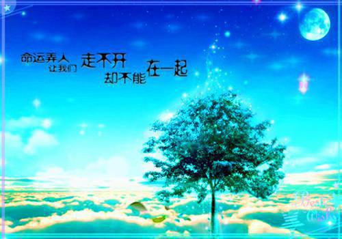 完结版小说苏识夏秦熠小说名第11章阅读