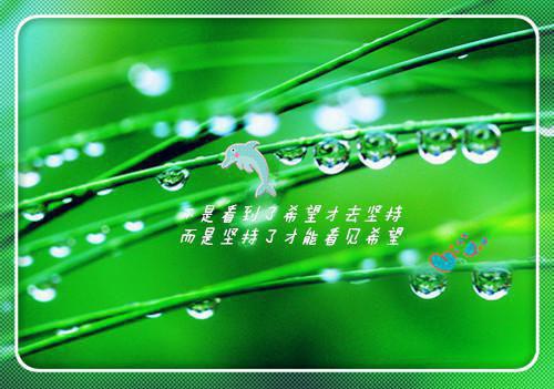 表嫂逼妹妹嫁给劳改犯弟弟，我杀疯了《表嫂逼妹妹嫁给劳改犯弟弟，我杀疯了》全文免费阅读无弹窗大结局_(表嫂逼妹妹嫁给劳改犯弟弟，我杀疯了)