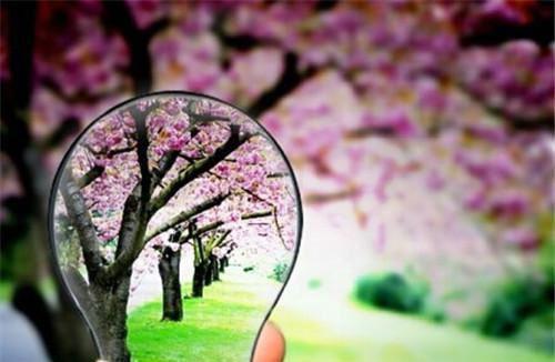 释允婉免费完结小说 走到爱意消散处（释允婉）在线阅读全文（释允婉）