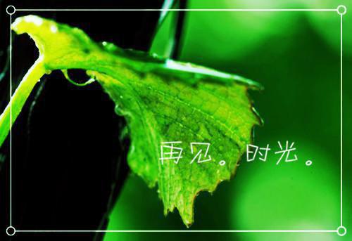 (情字深浅无解：结局+番外)经典书荒必读(陆淮止温言溪)全文免费阅读无弹窗大结局_情字深浅无解：结局+番外最新章节列表_笔趣阁陆淮止温言溪