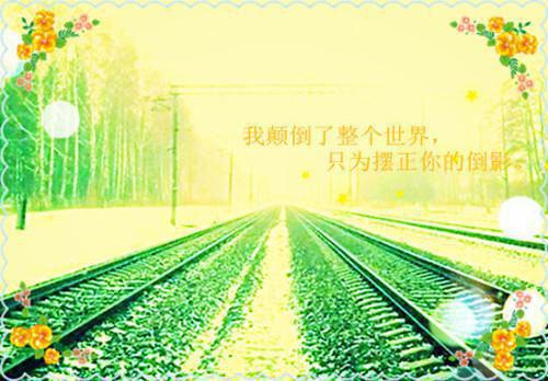 小说《玫瑰冠冕小说》全文阅读无广告-盛允茉宫铭全文在线赏析