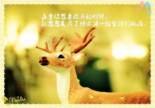 温辞溪江渝风（江渝风温辞溪）全文免费阅读无弹窗大结局江渝风温辞溪（温辞溪江渝风）