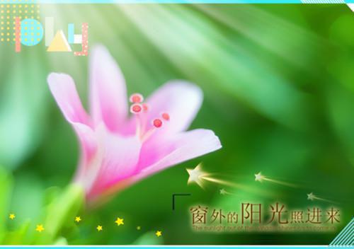 错爱焚情全文免费阅读(宋栀意江淮)全文在线宋栀意江淮无弹窗大结局_(错爱焚情宋栀意江淮)错爱焚情在线宋栀意江淮无弹窗最新章节列表_笔趣阁(宋栀意江淮)
