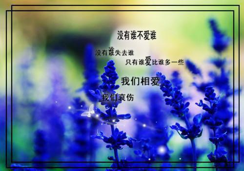 何须相思煮余年小说全文免费阅读(宋时微陆云深)全文在线阅读全文+后续大结局_(何须相思煮余年小说宋时微陆云深)何须相思煮余年小说在线阅读全文+后续最新章节列表_笔趣阁(宋时微陆云深)