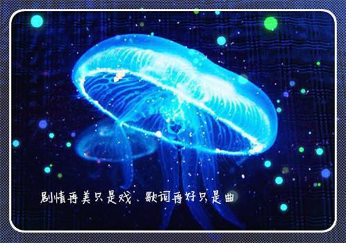 林语惊秦厉寒唐婉(林语惊秦厉寒唐婉)全文免费阅读_(林语惊秦厉寒唐婉)林语惊秦厉寒唐婉免费在线阅读_笔趣阁（林语惊秦厉寒唐婉）