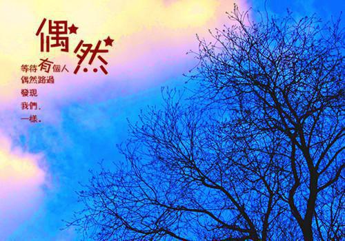 春茶宴宁莞尔（春茶宴宁莞尔）全文免费阅读无弹窗大结局_春茶宴宁莞尔小说全文免费阅读最新章节列表_笔趣阁（春茶宴宁莞尔）