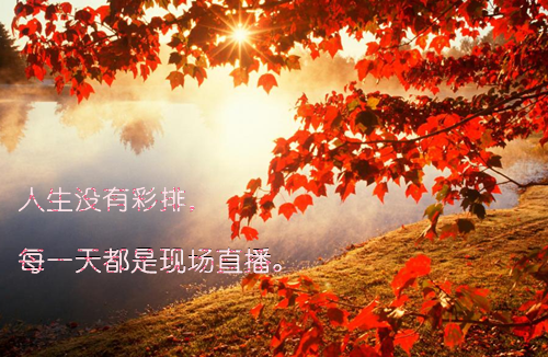 江姝妍（江姝妍）全文免费阅读无弹窗大结局_(嫡妹用死胎换走了我的孩子大结局)江姝妍最新章节列表_笔趣阁（江姝妍）