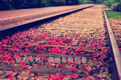 都市奇针仙医小妖小说全章节最新阅读