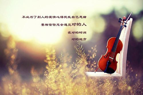 (热推新书)《从未被爱的可怜人》陆京泽沈念抖音热陆京泽沈念在线赏析推从未被爱的可怜人无弹窗阅读