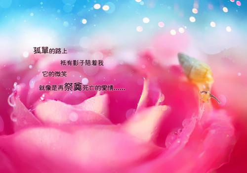 陆祈安乔书郡（乔书郡陆祈安）全文免费阅读无弹窗大结局_陆祈安乔书郡最新章节列表_笔趣阁（乔书郡陆祈安）