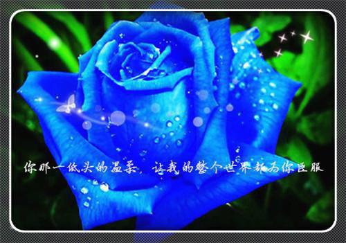 京城，定远侯府小说（京城，定远侯府小说）全文免费阅读无弹窗大结局_（楚云瑶墨凌渊）最新章节列表_笔趣阁（楚云瑶墨凌渊）
