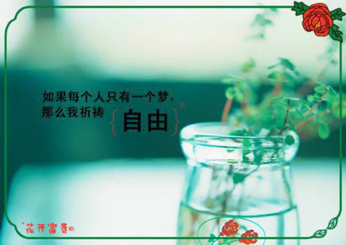 (番外)+(全文)我与你长痛短爱（林夕陆天野）完整版小说阅读_烂在梦中的）番外+全文免费阅读_笔趣阁（林夕陆天野）