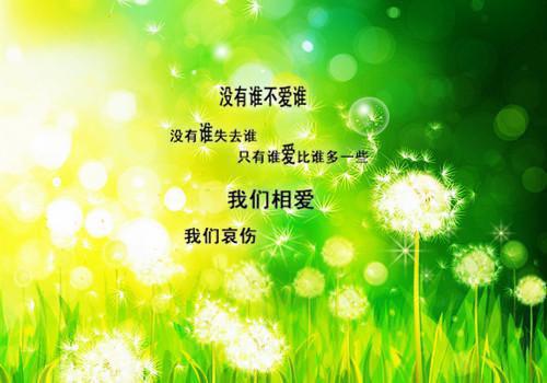 颜西乔准小说（颜西乔准）全文免费阅读_颜西乔准小说精彩在线赏析
