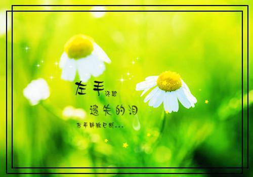 (番外)+(全文)顾南辰林晚意（望不穿月影西沉：结局+番外）全文免费阅读无弹窗大结局_(顾南辰林晚意)最新章节列表_笔趣阁（望不穿月影西沉：结局+番外）