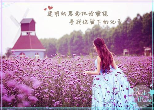 冯斯年韩如卿全文免费阅读_(愿你是良人)冯斯年韩如卿蕾免费阅读_笔趣阁(冯斯年韩如卿)