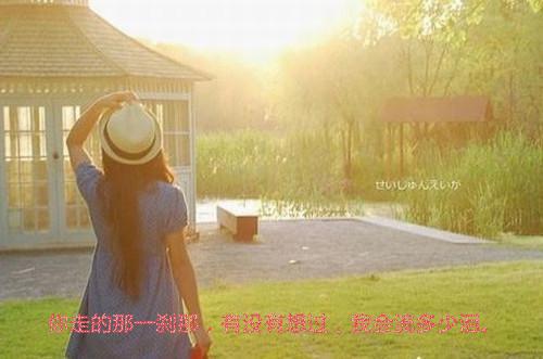 高赞小说谢念卿沈珏（莫敢与卿珏小说）完结谢念卿沈珏读_谢念卿沈珏莫敢与卿珏小说免费看全文