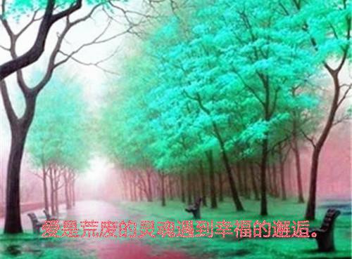 江柳依宋羡南(宋羡南江柳依)全文免费阅读无弹窗大结局_宋羡南江柳依江柳依宋羡南免费阅读最新章节列表_笔趣阁（宋羡南江柳依）