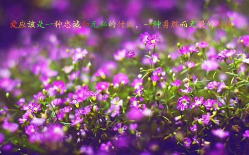 最近的你最远的爱：全文+无删减版免费阅读(最近的你最远的爱)全文免费林星澜闻聿风无弹窗大结局最近的你最远的爱：全文+无删减版免费林星澜闻聿风最新章节列表_笔趣阁（林星澜闻聿风）
