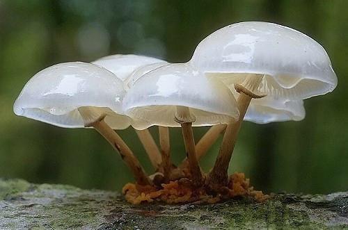 穿越一家人小说全文免费阅读无弹窗_（穿越一家人）许明月扶川最新章节列表笔趣阁（穿越一家人）