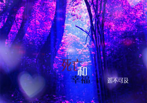 纪染江擎书名的小说纪染小说全文免费阅读