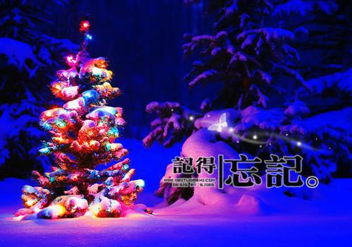 他的一味甜全文（许非晚免费小说 完整版 他的一味甜在线赏析）最新章节已更新版