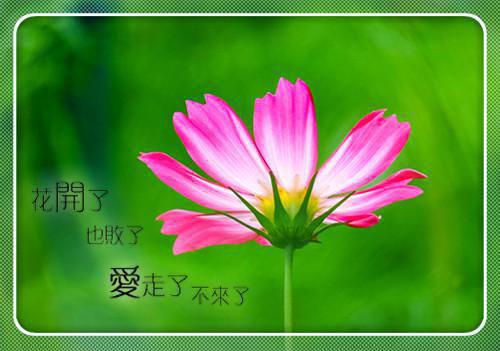 宋轻歌周司晨小说全文免费阅读是宋轻歌周司晨小说的小说（等风吻云雾）免费阅读_宋轻歌周司晨小说等风吻云雾小说免费宋轻歌周司晨小说-笔趣阁（宋轻歌周司晨小说）