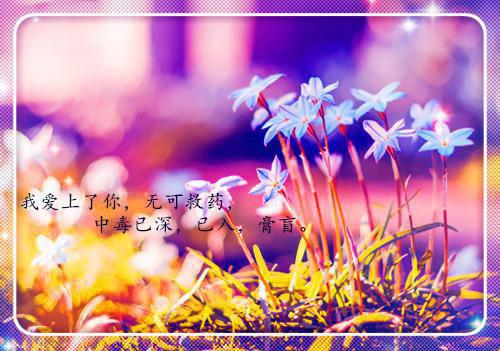 季未央祁川小说免费阅读(季未央祁川)全文免费阅读无弹窗大结局_(季未央祁川免费阅读)最新章节列表_笔趣阁（季未央祁川）