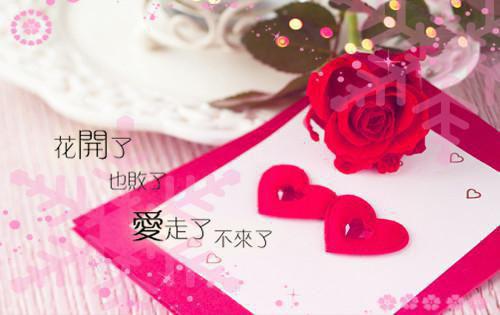 完结版小说只知道柴米油盐，不知道风花雪月小说txt第15章阅读