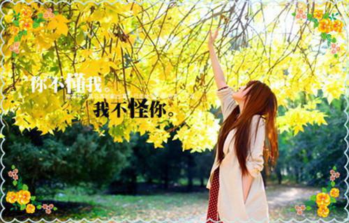 小说宋亦曼段北城(宋亦曼段北城)免费阅读-小说宋亦曼段北城宋亦曼段北城全文在线赏析
